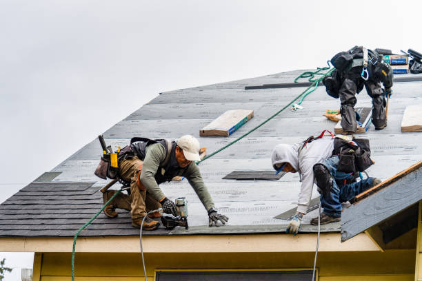 Professional Roof Replacement technician working in Brodheadsville, PA